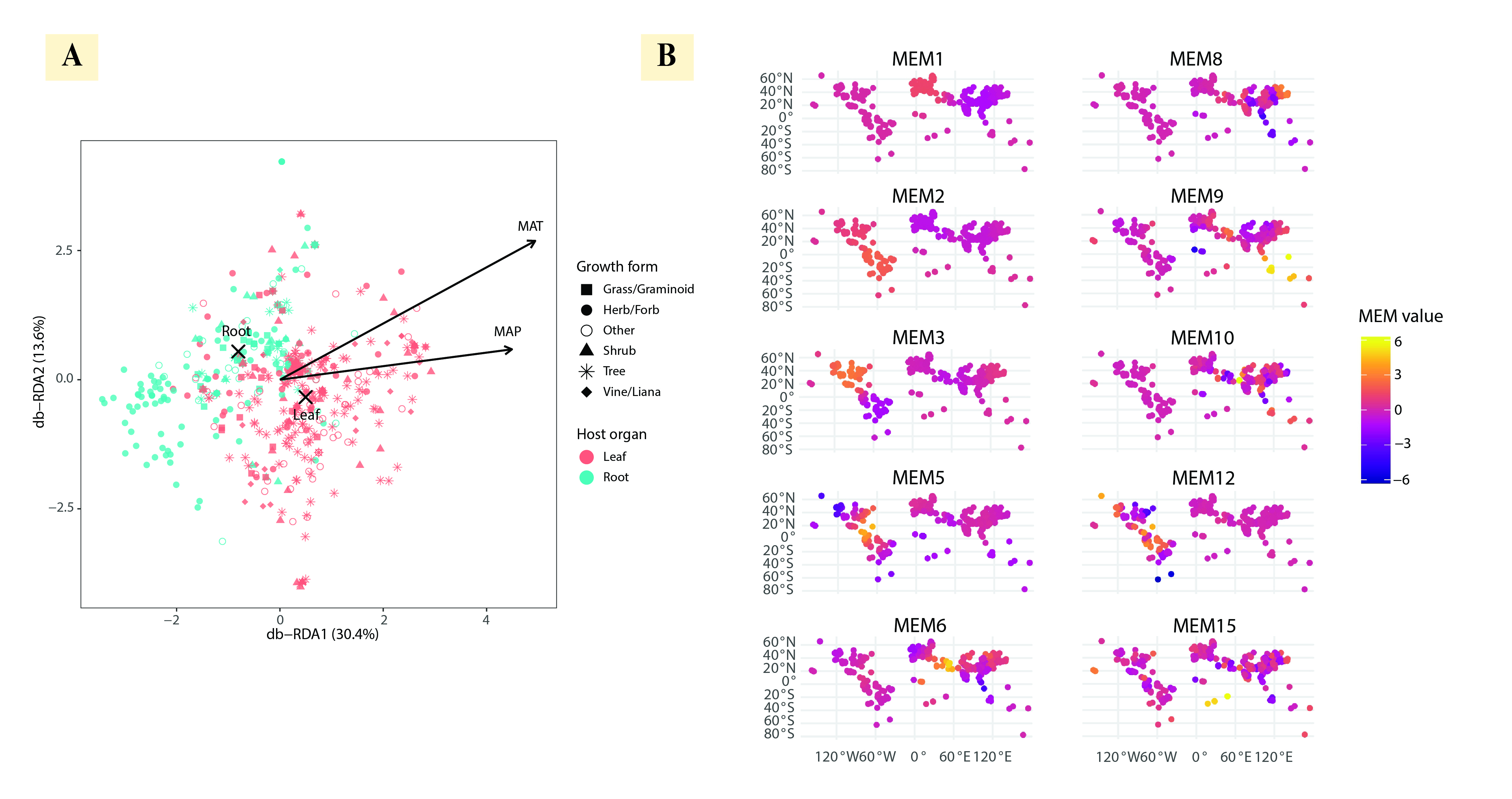 Global distribution of fungal endophyte records